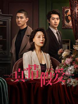真情假爱2023HD中字