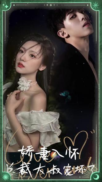 娇妻入怀，总裁大叔宠坏了21-40集