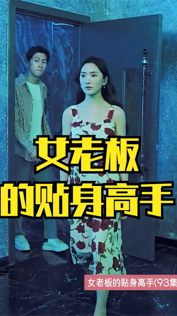 女老板的贴身高手全集 (上)(大结局)