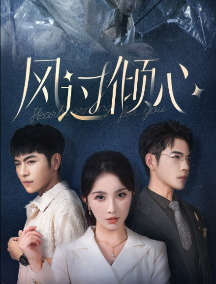 风过倾心第01集