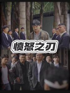 愤怒之刃全集(大结局)