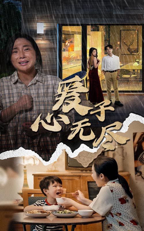 爱子心无尽第12集