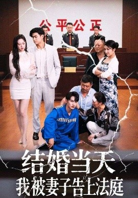 结婚当天我被妻子告上法庭(全集)